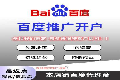 案例研究：百度竞价广告投放效果